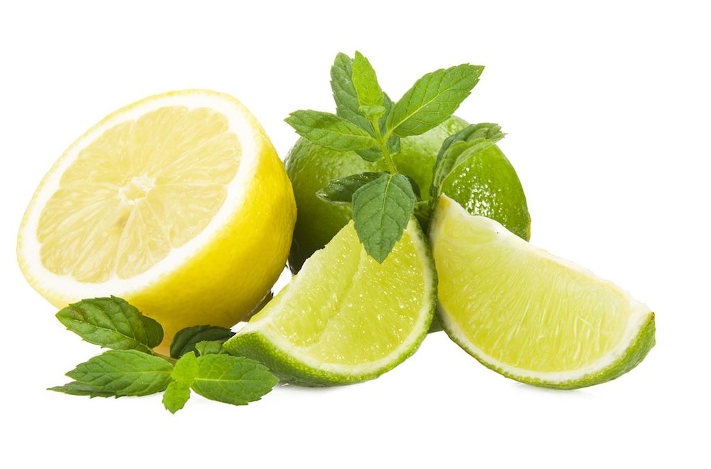 Lemon/Lime Juice