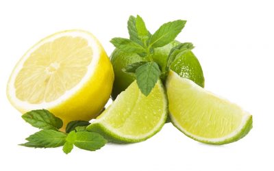 Lemon/Lime Juice